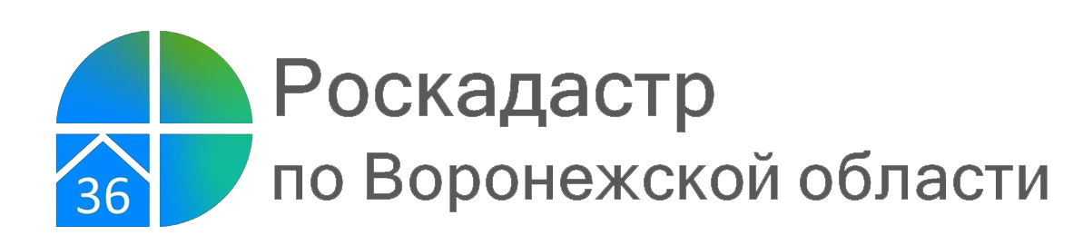 Роскадастр проводит для воронежцев судебные экспертизы в сфере недвижимости.